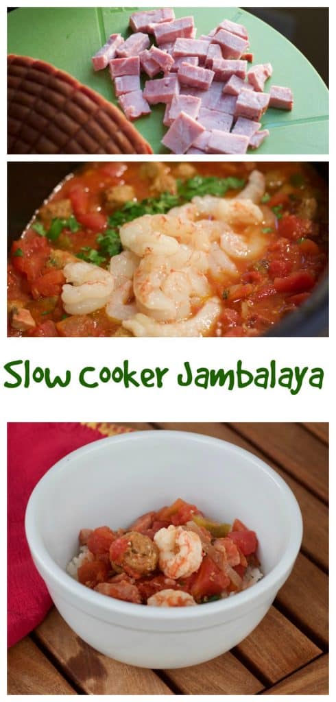 Slow Cooker Jambalaya || Erin Brighton | gluten free | slow cooker | easy dinners | Got To Be NC