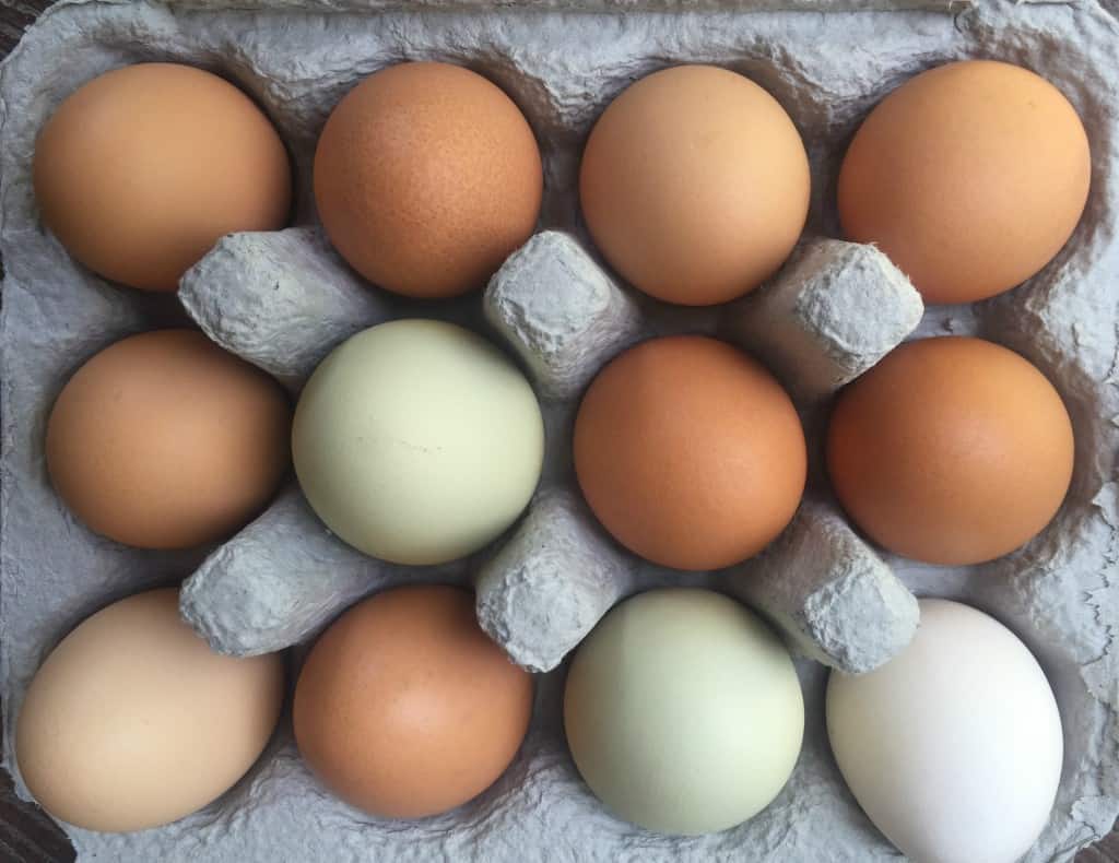 Hash Brown Egg Scramble