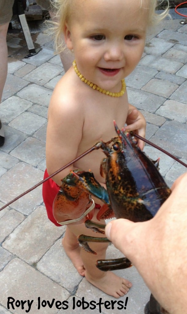 Rory Loves Lobsters