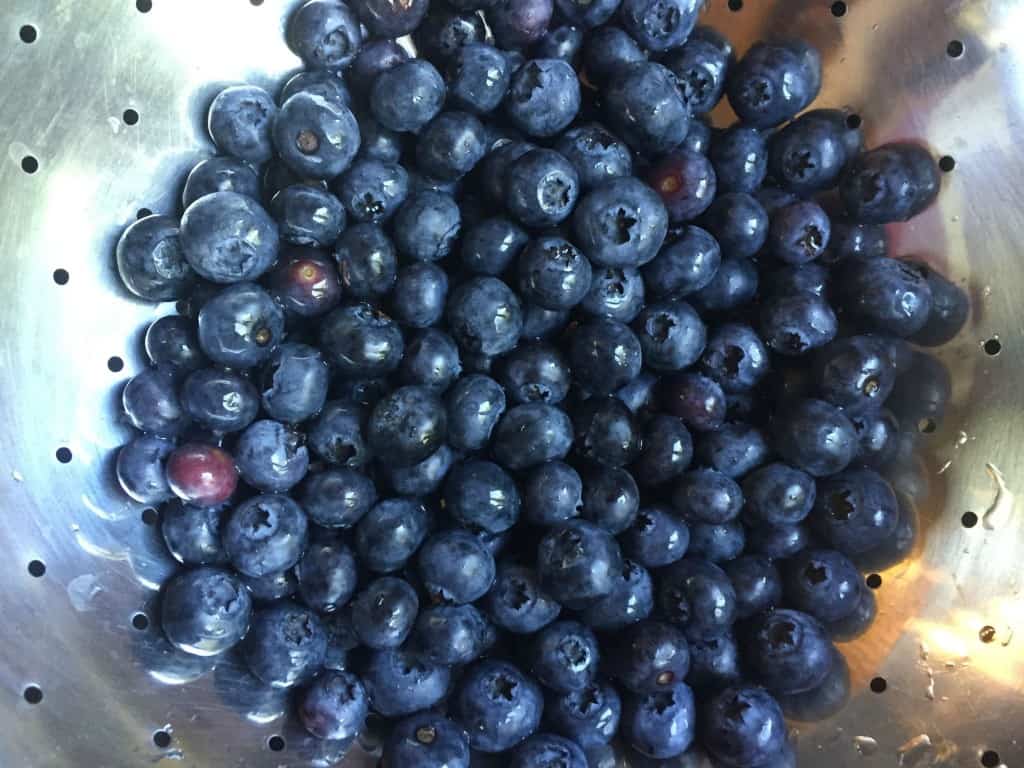 Blueberries
