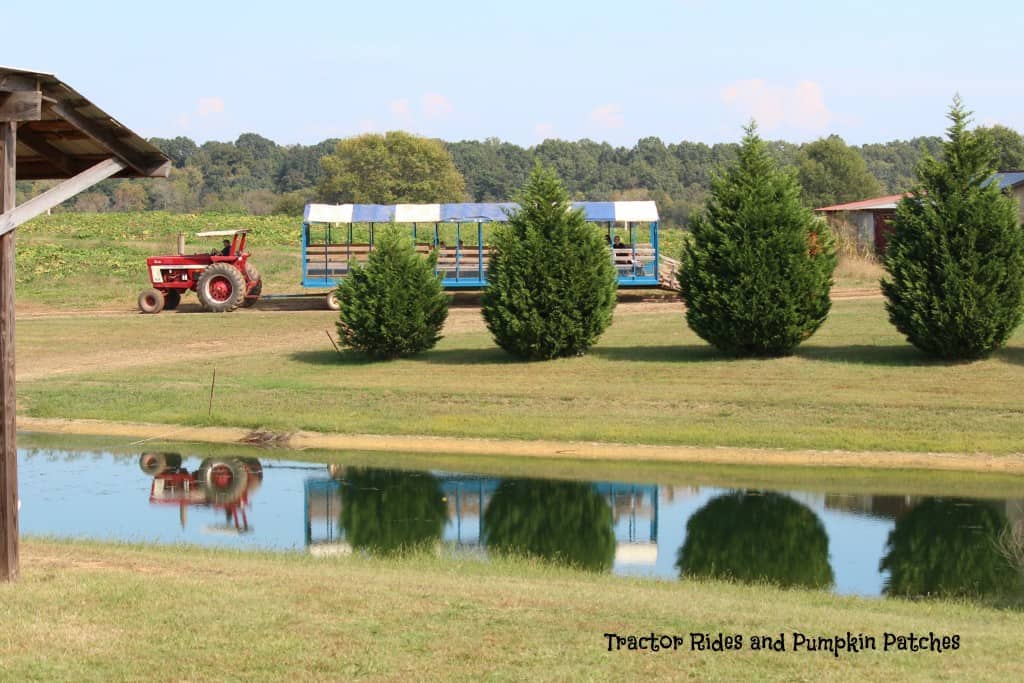 Pumpkin patches and tractor rides