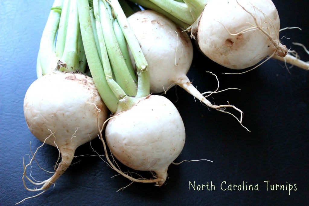 North Carolina Turnips