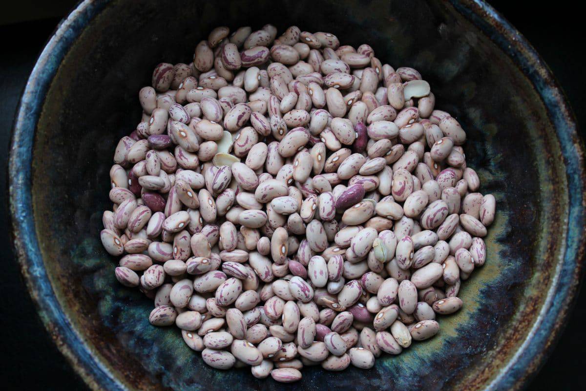 Cranberry Beans