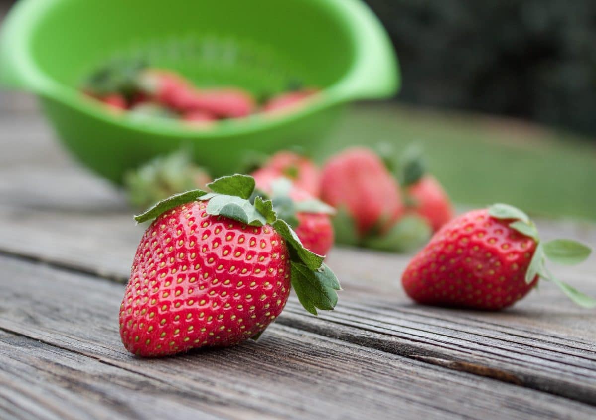 Strawberry season