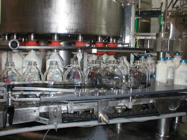 homestead creamery bottling