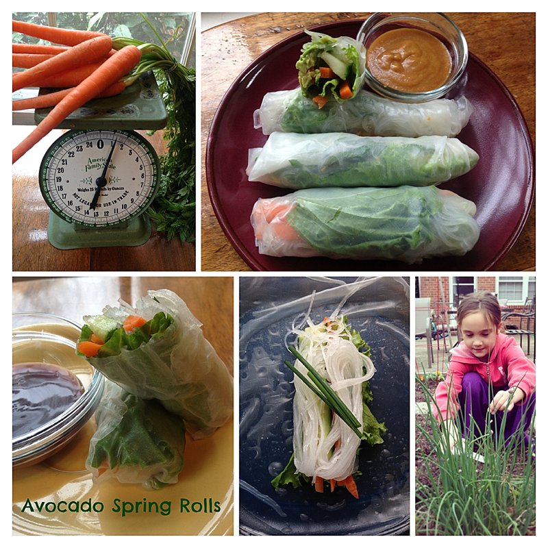 Avocado Spring Rolls