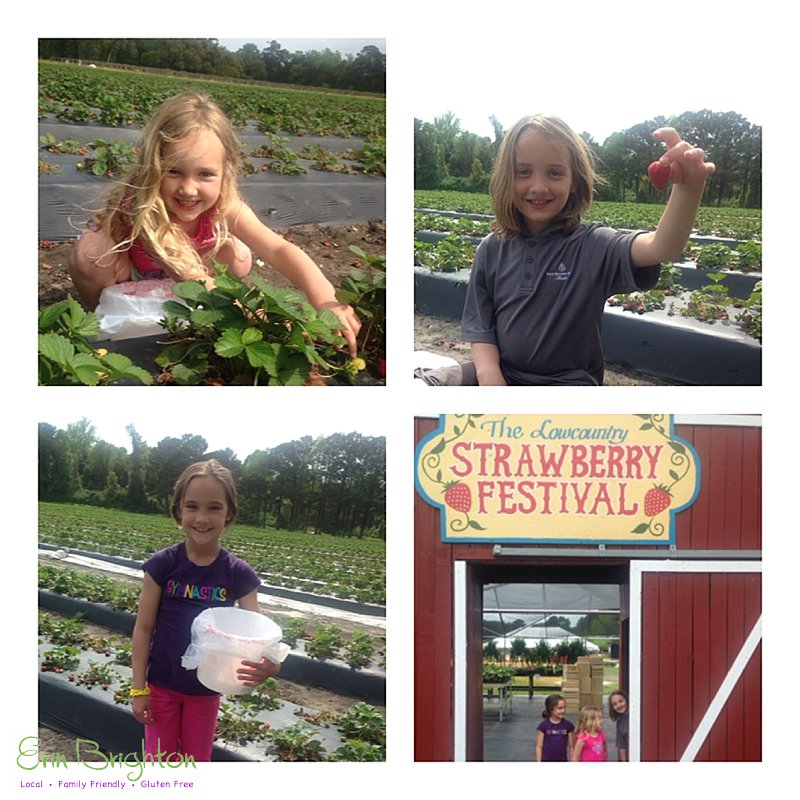 Low Country Strawberry Festival, South Carolina