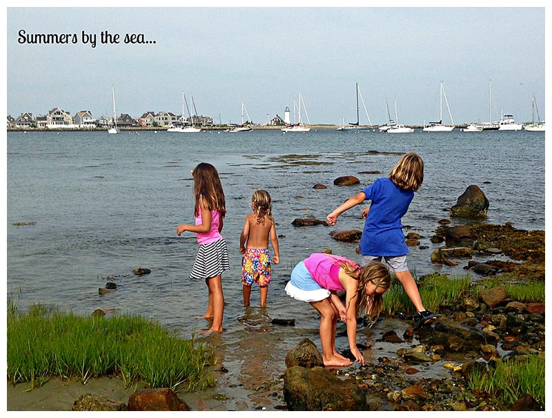 Skipping Rocks on Museum Beach