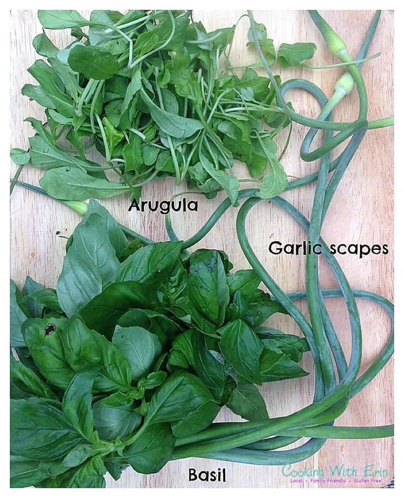 Arugula, Basil, and Garlic Scapes for Pesto