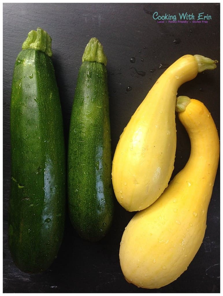 Garden Fresh Zucchini and Summer Squash