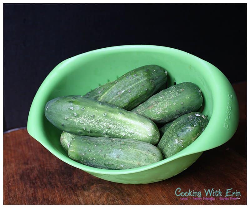 Pickling Cucumbers
