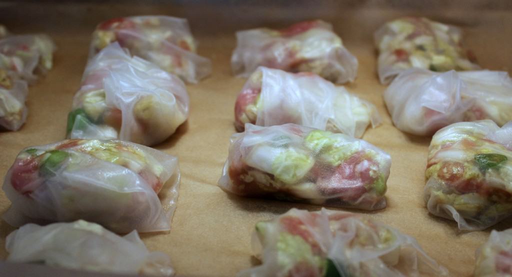 Pork dumplings chilling in the fridge