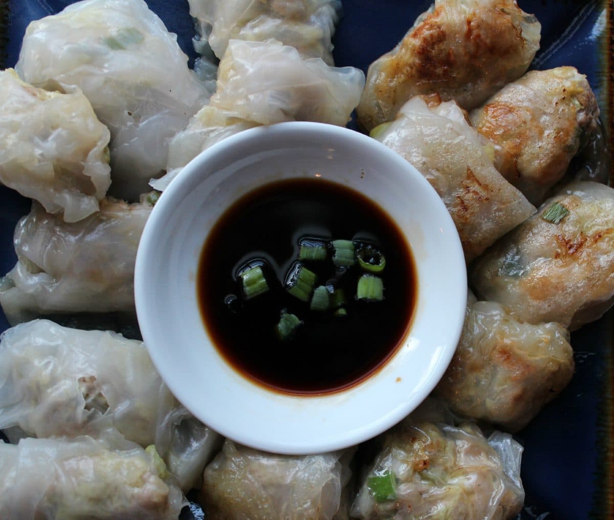 GlutenFree Pork Dumplings · Erin Brighton
