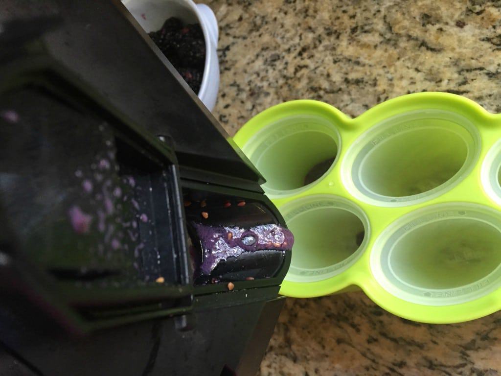 Zoku Popsicle Molds