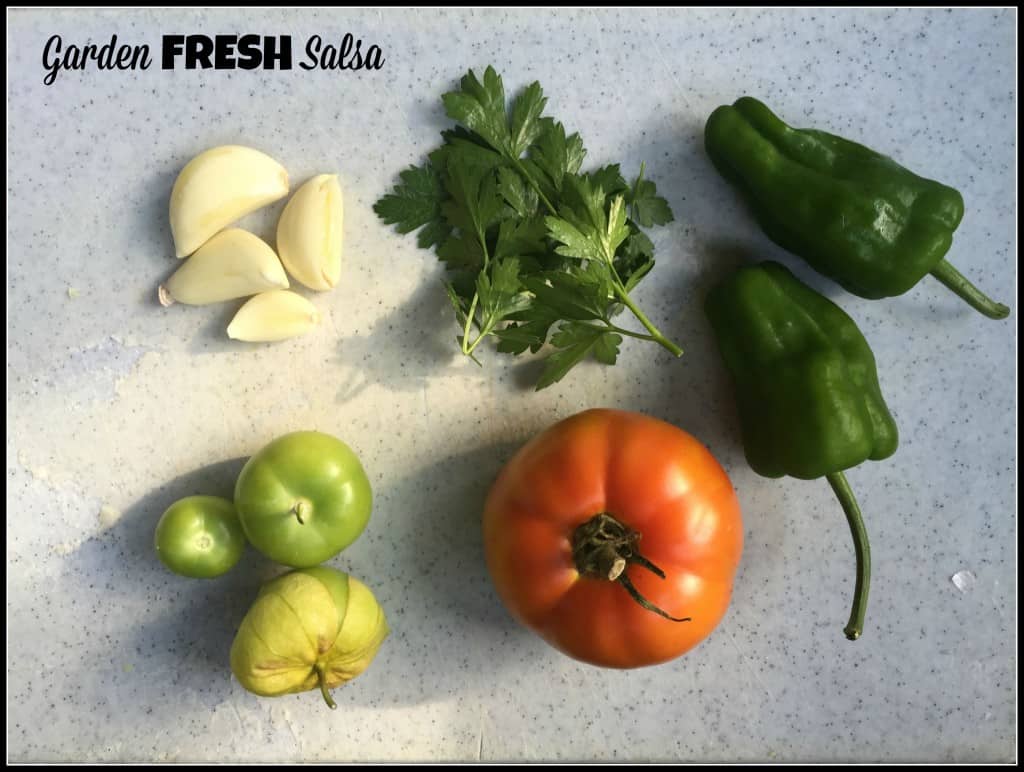 Fresh Veggies For Salsa
