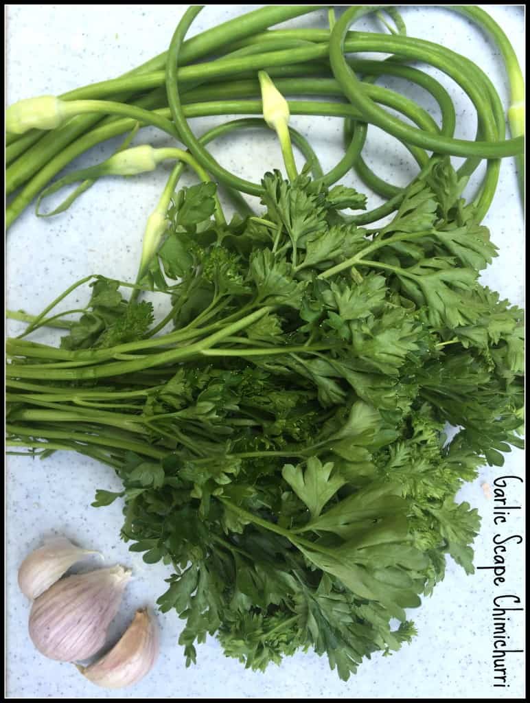 Parsley, garlic, and garlic scapes ...
