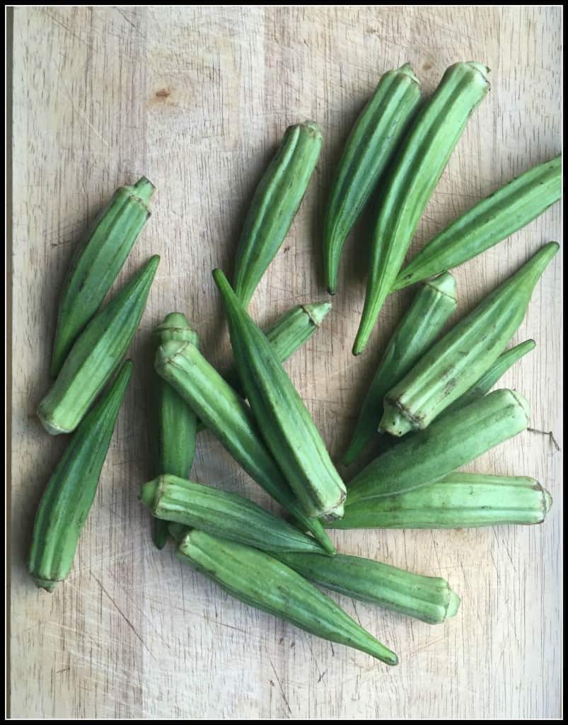 North Carolina Okra
