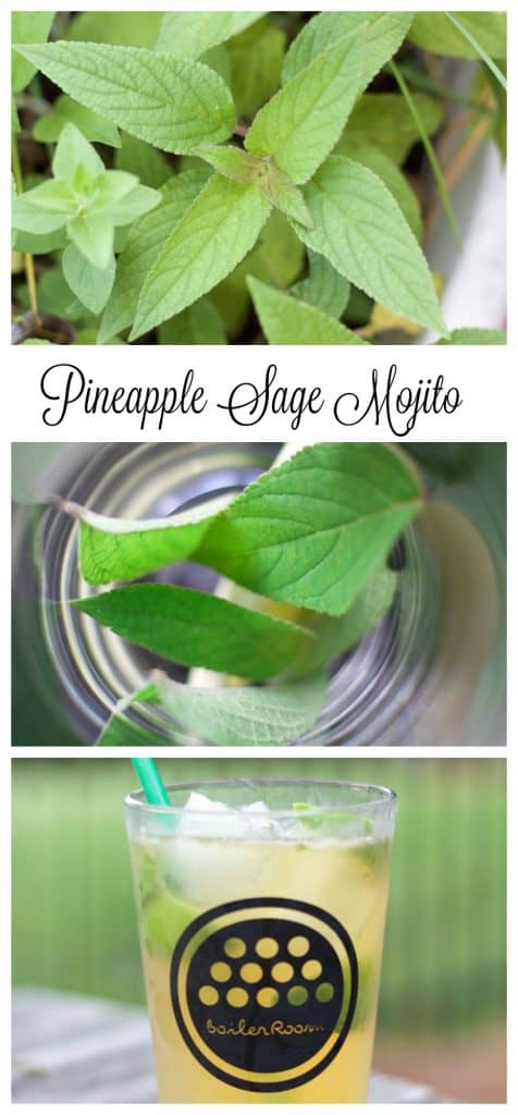Pineapple Sage Mojito