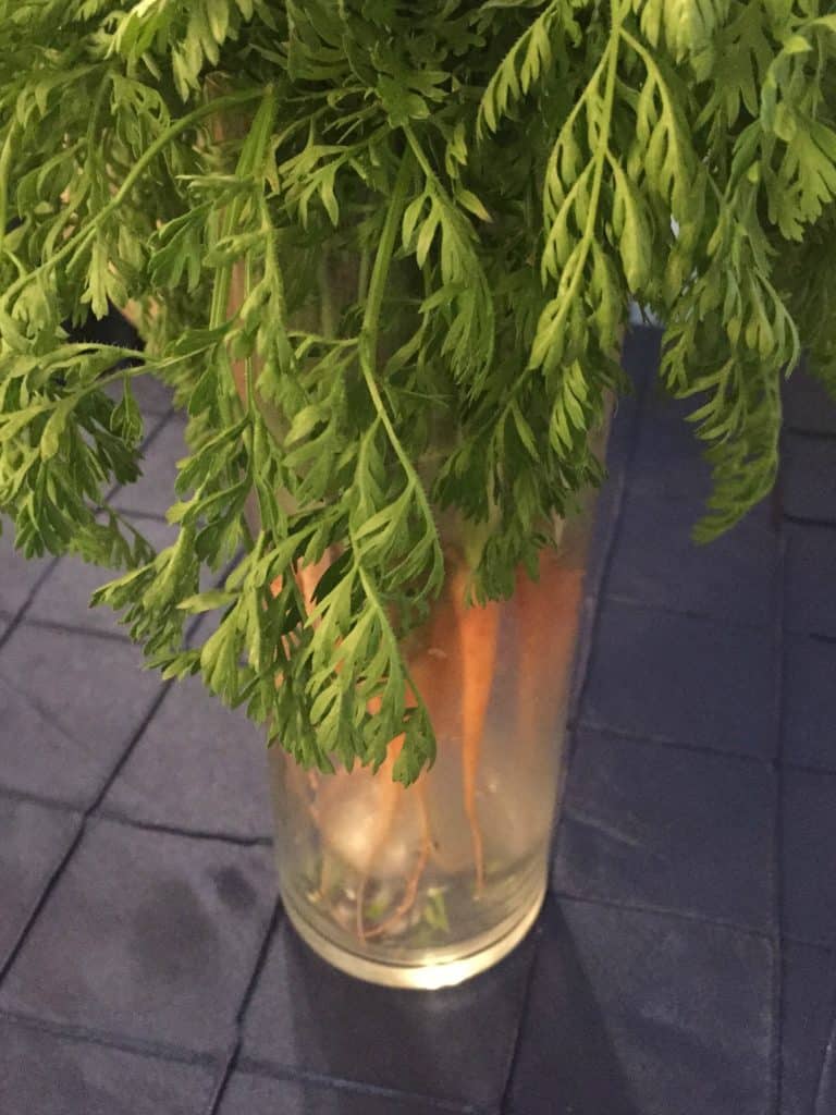 lomax-dinner-party-carrots
