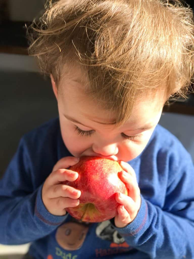 oven dried apple chips || Erin Brighton | gluten free | Got To Be NC | snack time | fruit | preserving