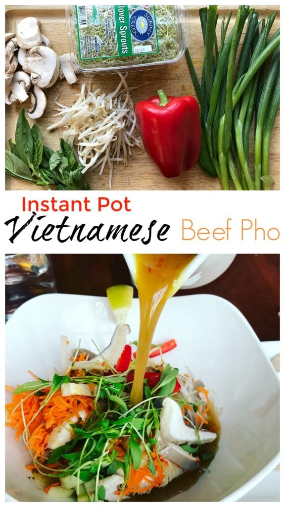 Instant Pot Vietnamese Beef Pho || Erin Brighton | gluten free | dinner | pressure cooker | Got To Be NC