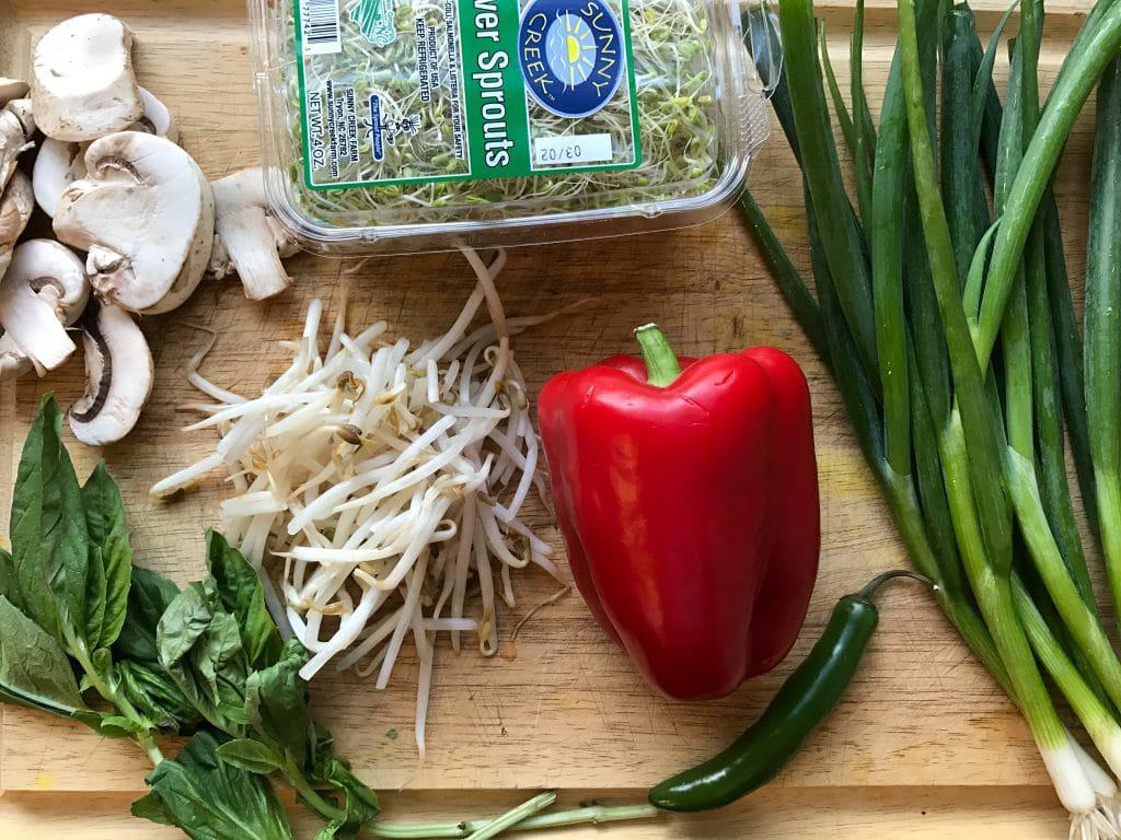 Instant Pot Vietnamese Beef Pho || Erin Brighton | gluten free | dinner | pressure cooker | Got To Be NC