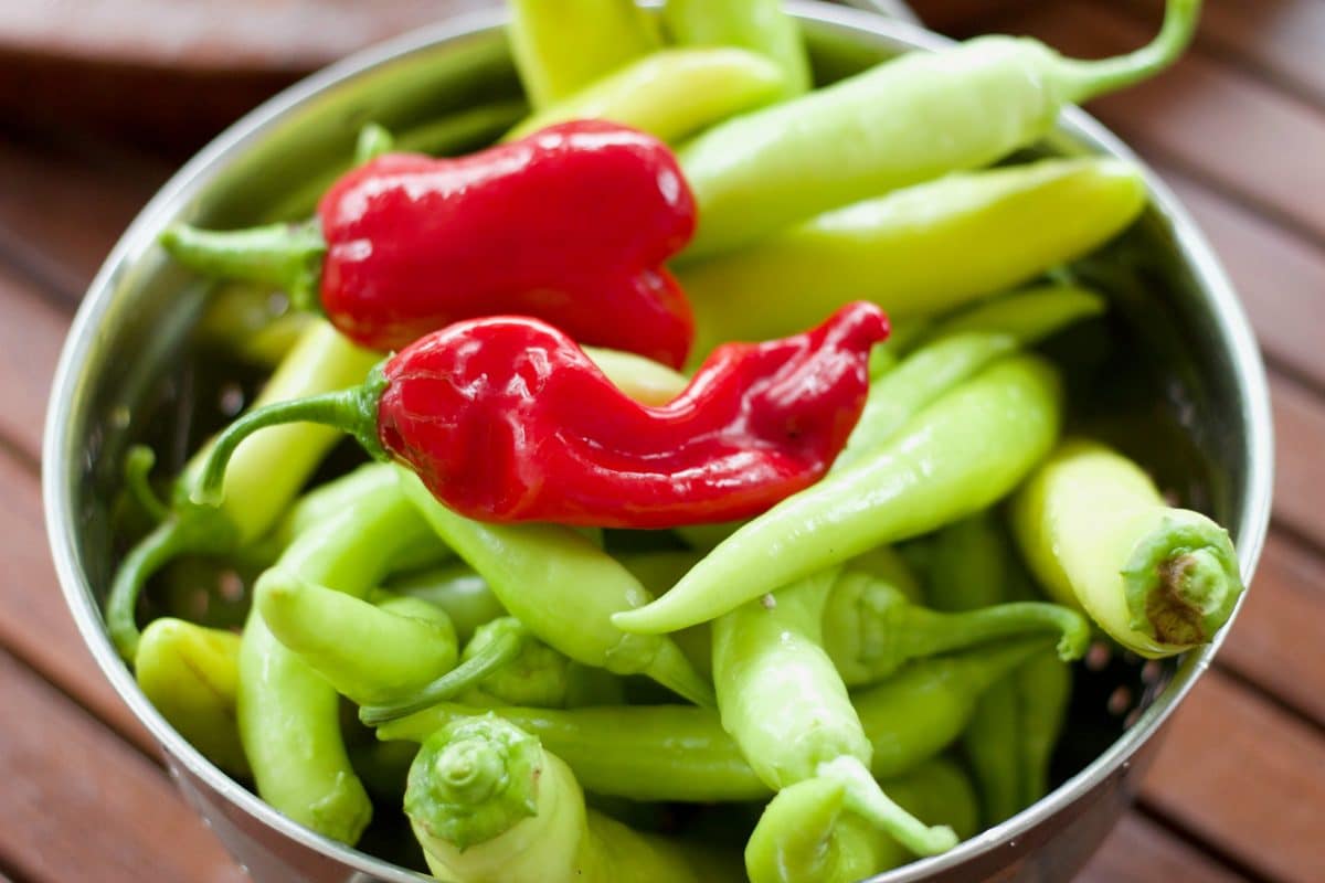 Sweet and Spicy Pickled Peppers || Erin Brighton | Cooking With Erin | gluten free | canning | grow your own | easy recipes