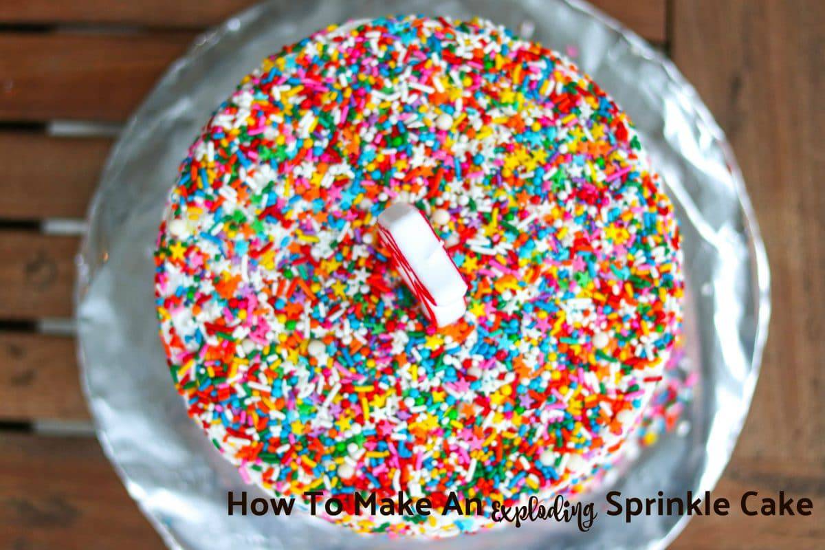 How To Make An Exploding Sprinkle Cake || Erin Brighton | birthday cakes | baking | cake decorating | kid birthday cakes | gluten free baking