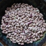 Cranberry Beans
