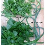Arugula, Basil, and Garlic Scapes for Pesto