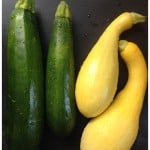 Garden Fresh Zucchini and Summer Squash