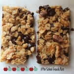 Homemade Chocolate Chip Granola Bars