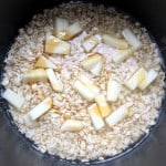 Simple oatmeal in your rice cooker