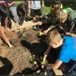 5th graders cook and garden