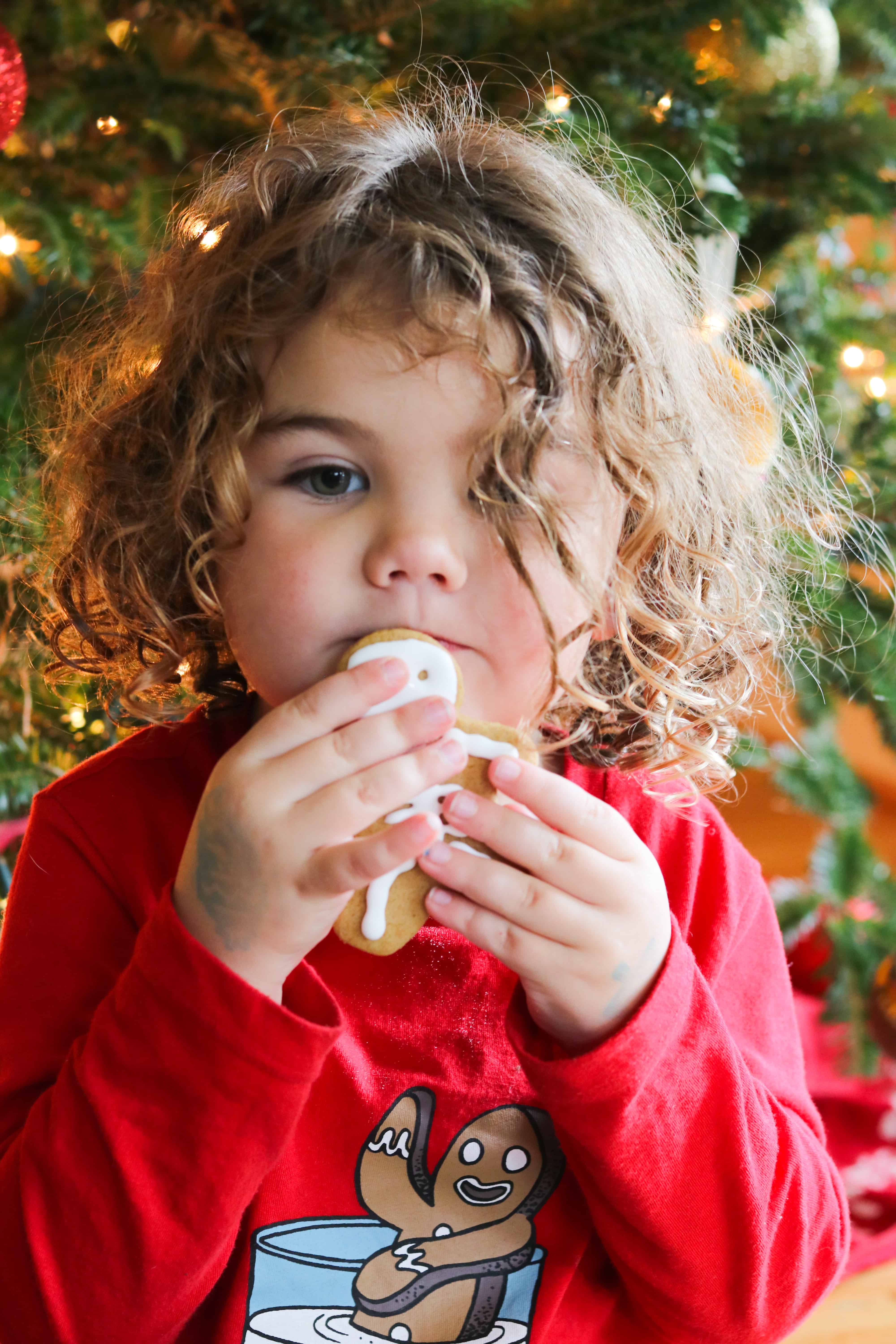 Soft gluten free gingerbread cookies
