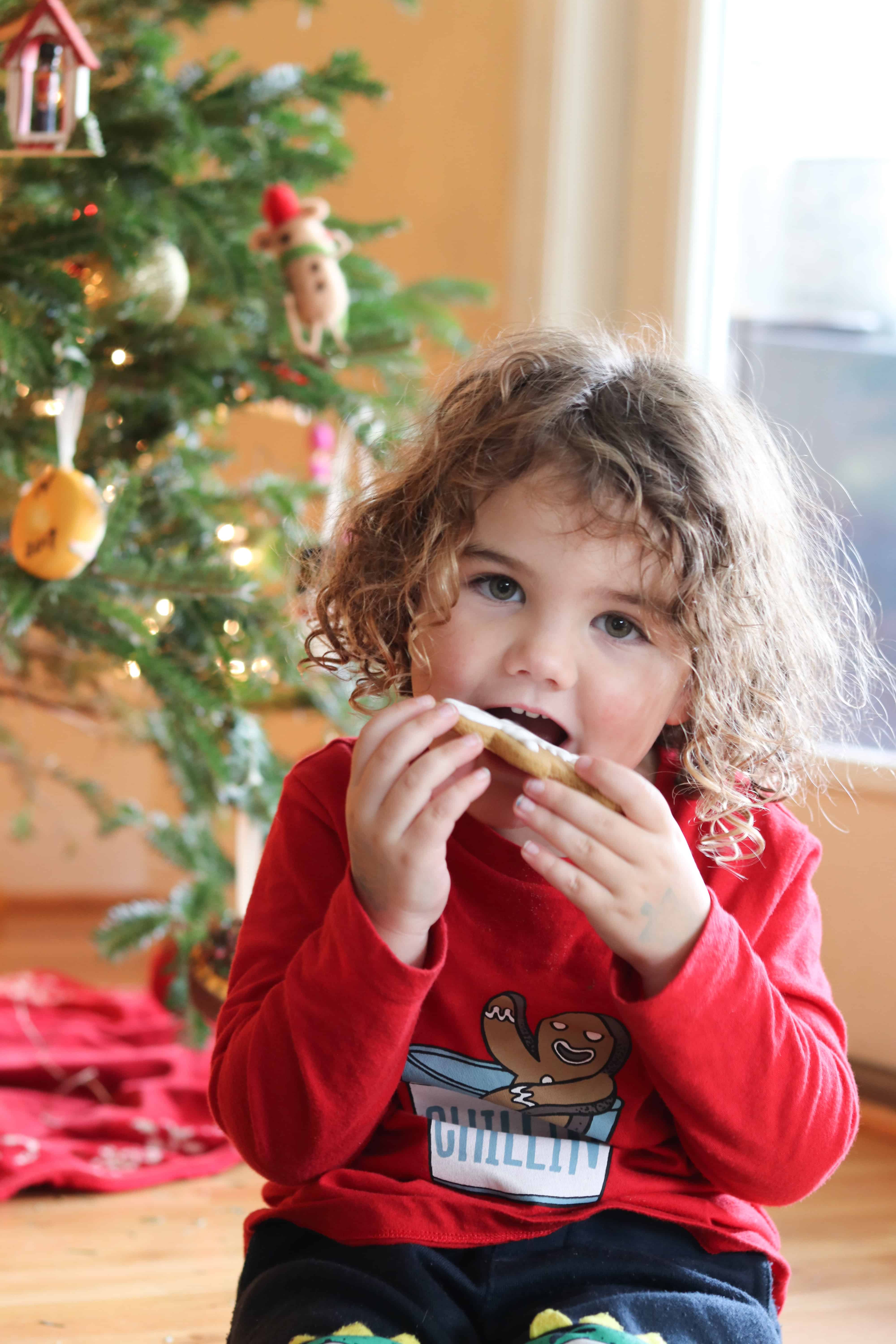 Soft gluten free gingerbread cookies